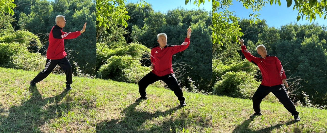 Stage de Duong Sinh (tai chi) en Septembre à la Barotte